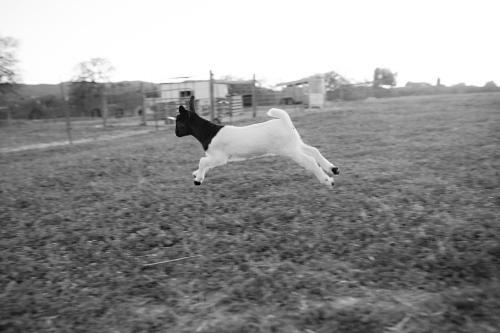 Posada R�ves De Moutons