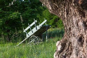 Bed & Breakfast La Campagne St Lazare