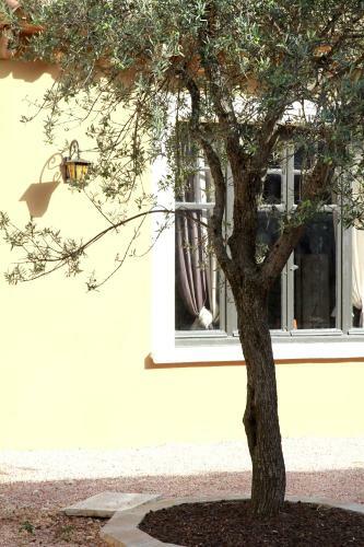Hotel Le Clos Des Oliviers