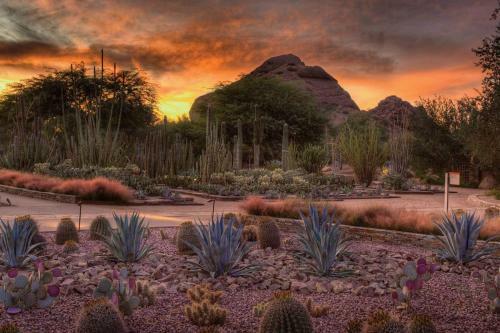 Botanical Retreat