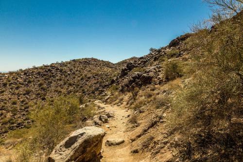 Papago Ridge