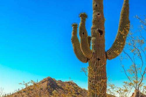 Papago Ridge