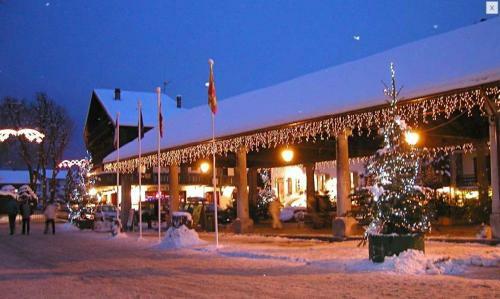 Hotel H�tel Les Glaciers