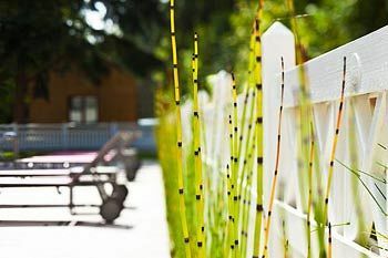 Hotel H�tel Les Pl�iades