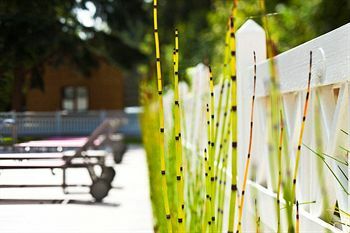 Hotel H�tel Les Pl�iades