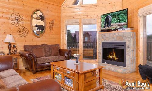 Papa Bear Lodge #565 - Five Bedroom Cabin