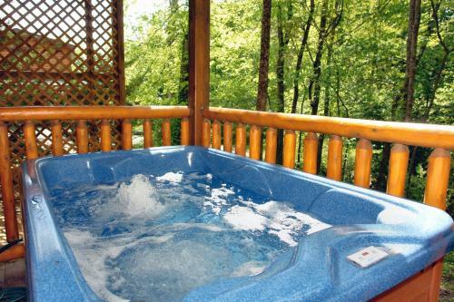 Skinny Dippin' #261 - Two Bedroom Cabin