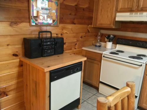 Bear Tracks Mountain Laurel Wood Fireplace Cabin