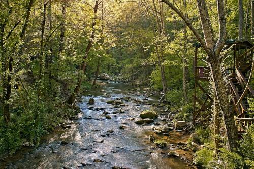 Whispering Waters #208 - Two Bedroom Cabin