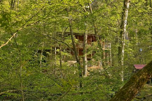 Whispering Waters #208 - Two Bedroom Cabin