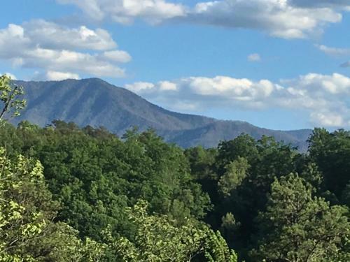 Black Bear View Mtn Cabin