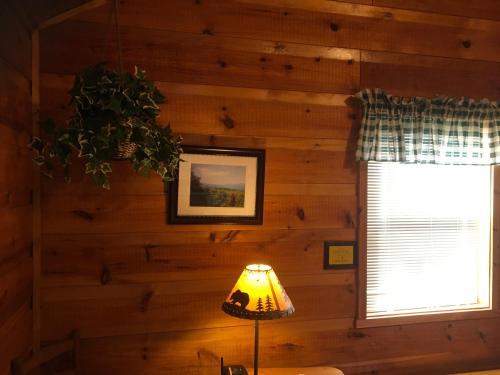 Black Bear View Mtn Cabin
