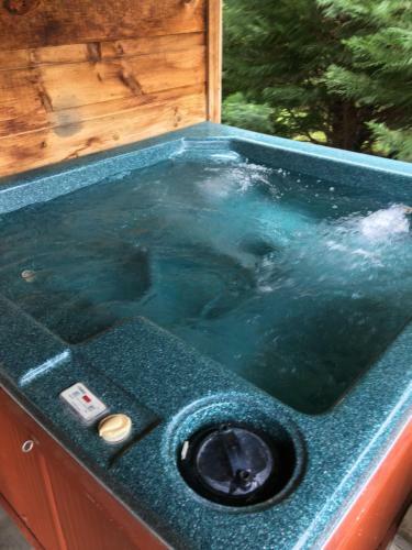 Black Bear View Mtn Cabin