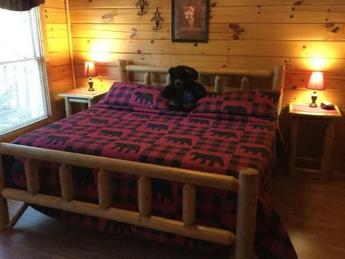 Swim N Bear Honeymoon Cabin With Private Pool