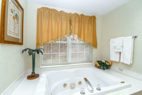 Apartamento 1103 Smoky Bear Condo