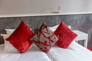 Hotel Le Viking