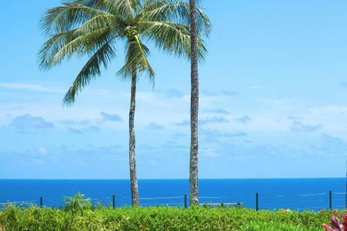 Plantations At Princeville #1312