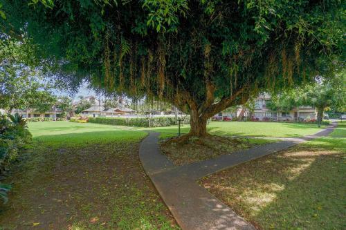 Apartamento Sandpiper #116b