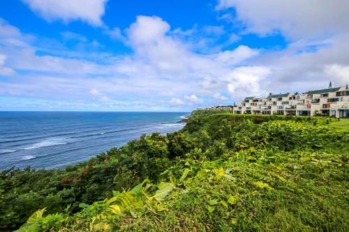 Apartamento Puu Poa 201 Condo