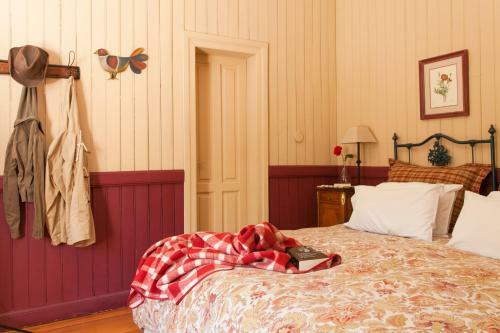 Bed & Breakfast La Casa De Eugenia