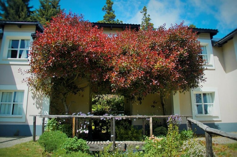 Hotel Aldea Andina Resort