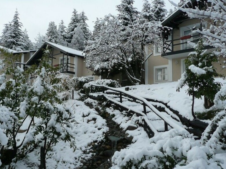 Hotel Aldea Andina Resort