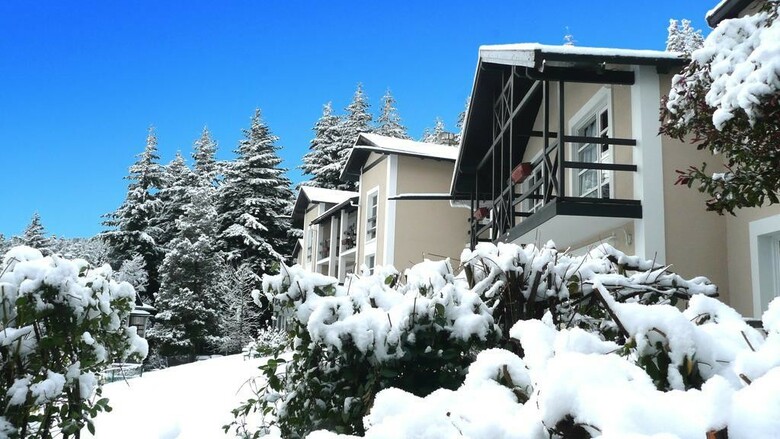Hotel Aldea Andina Resort