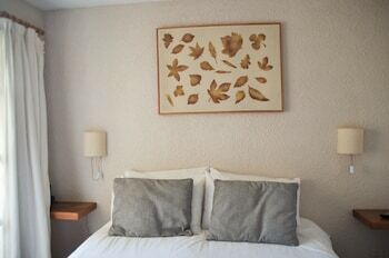 Hotel Aldea Andina Resort