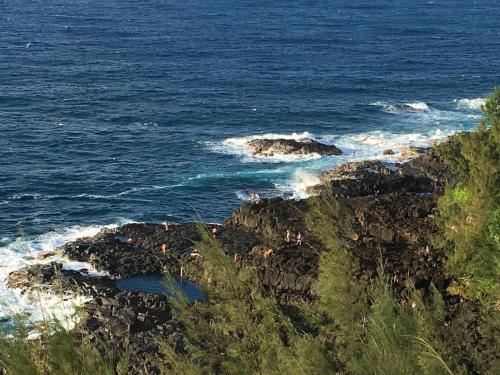 Half Moon Hana