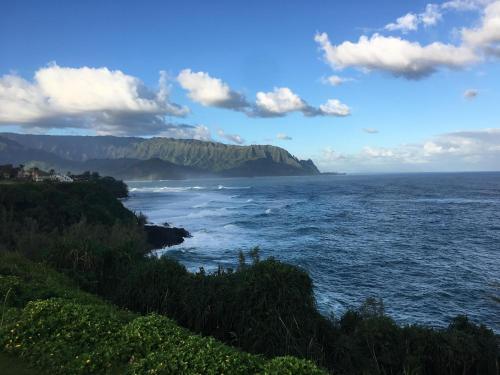 Half Moon Hana
