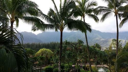 Apartamento Hanalei Bay Resort 23012 Near Pool 2br AC