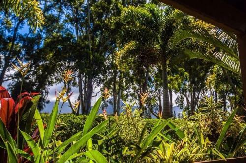 Apartamento (sv101-s) Aloha Shack Studio Sandpiper 101b