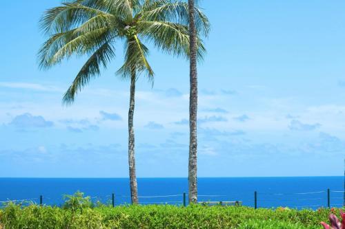 Hanalei Bay Villas #33