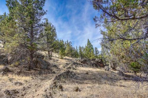 Mid Century Deschutes River Cabin
