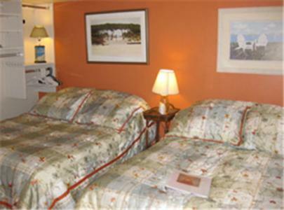 Bewitched And Bedazzled Bed And Breakfast