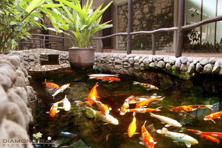 Hotel Diamond Bay Resort