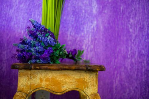 Maric� Bed & Breakfast
