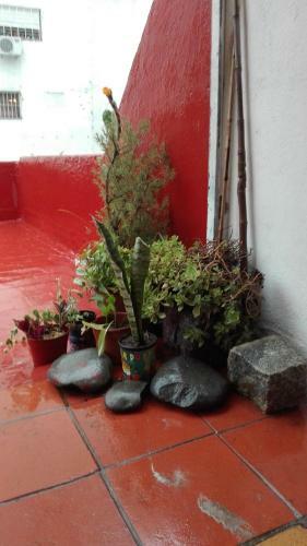 Apartamento Hermosa Casa Ph Con Terraza