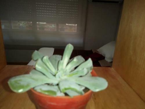 Apartamento Micro-centro