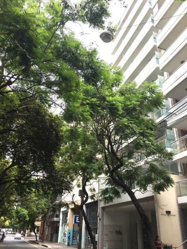 Apartamento Estudio Rosalta