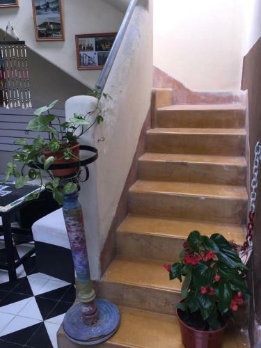 Hotel Alma Mia