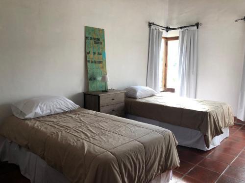Casa Del Olivo