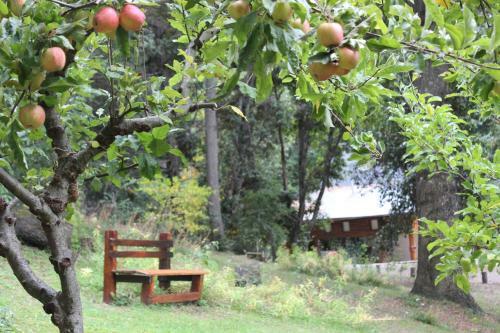 Lodge Caba�a Llavu Lemu