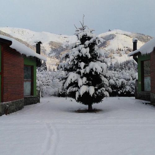 Lodge Caba�as Ruca Carel