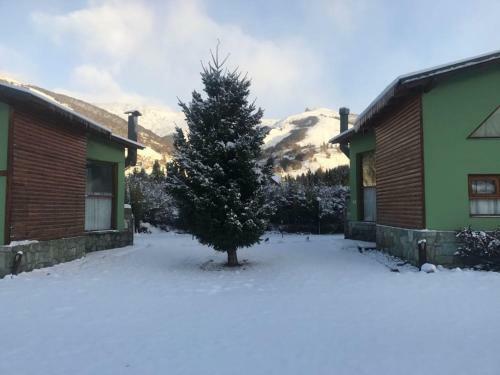 Lodge Caba�as Ruca Carel
