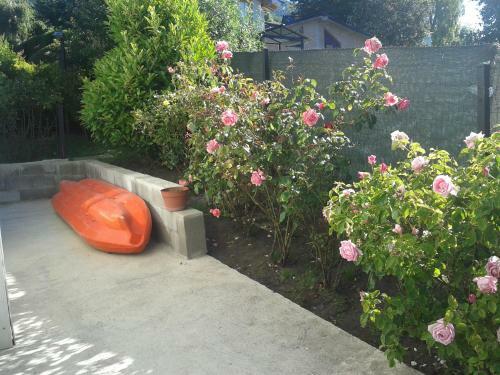 Apartamento Las Agustinas