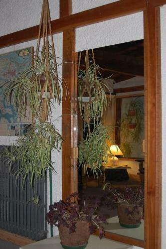 Posada Residencia Familiar La Rosa