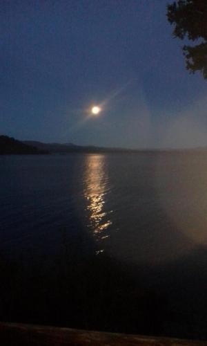 Murmullos Del Lago