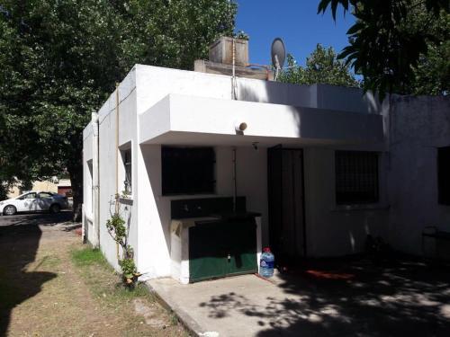 Pinos 1