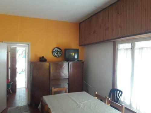 Pinos 1